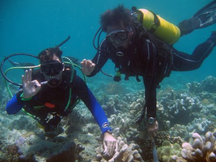 diving dr manerep