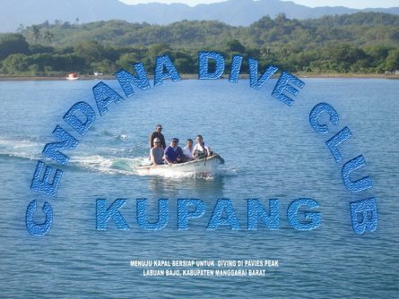 diving dr manerep