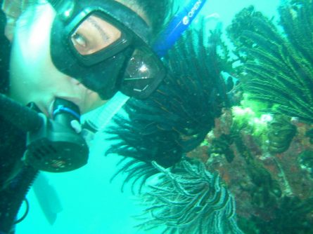 diving dr manerep