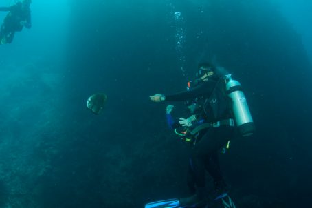 diving dr manerep