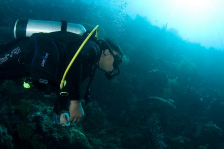 diving dr manerep