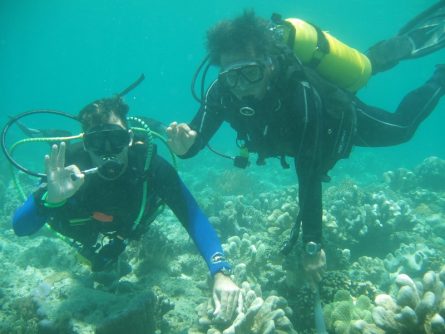 diving dr manerep