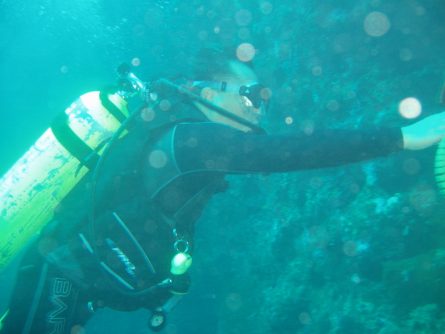 diving dr manerep