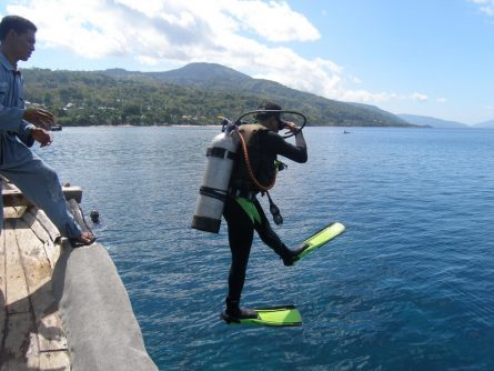 diving dr manerep