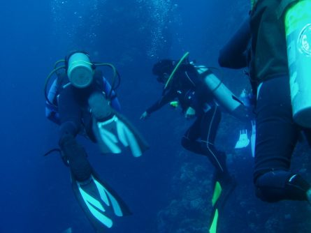diving dr manerep