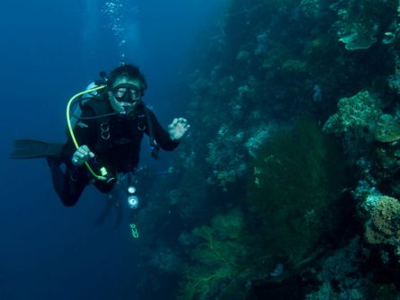 diving dr manerep