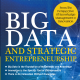 Big-Data-and-Strategic-Entrepreneurship-ebook