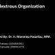 Ambidextrous-Organization